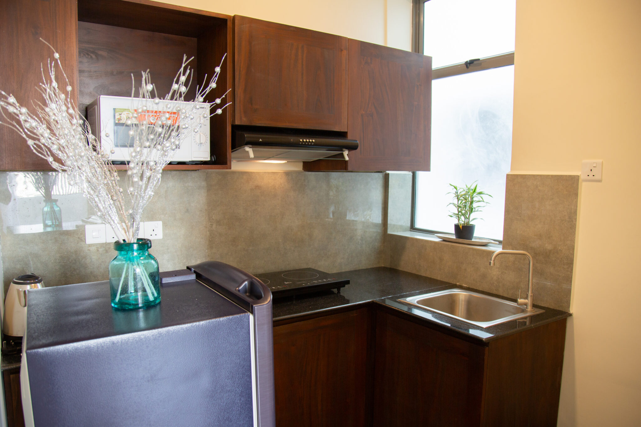 One Bedroom Apartment